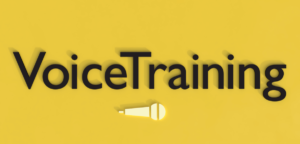 ラップのやり方 ９のコツ ダサイrapにならない為の秘訣 カラオケラップ攻略法 シオサバ